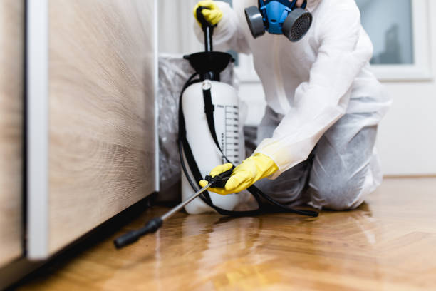 Best Insect Control  in Panguitch, UT