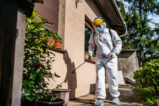 Trusted Panguitch, UT Pest Control Experts