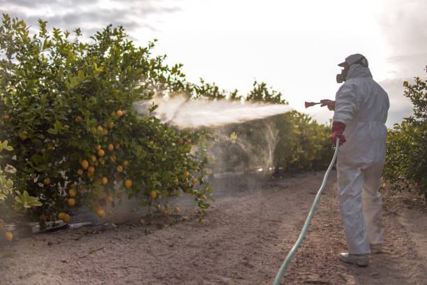 Best Pest Removal Services  in Panguitch, UT