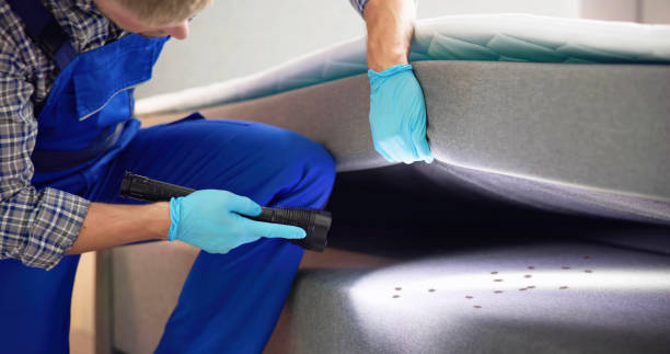 Best Wasp Removal Services  in Panguitch, UT