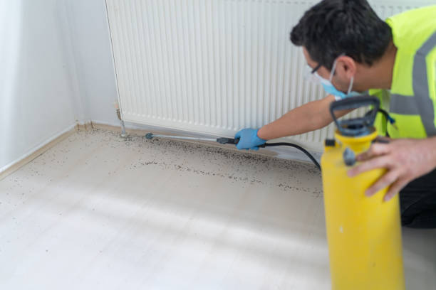 Best Local Pest Control Services  in Panguitch, UT