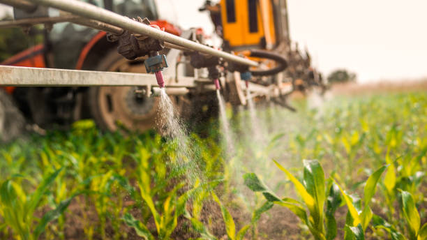 Best Commercial Pest Control Services  in Panguitch, UT