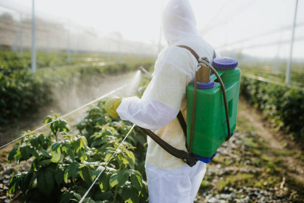 Best Mosquito Control Services  in Panguitch, UT